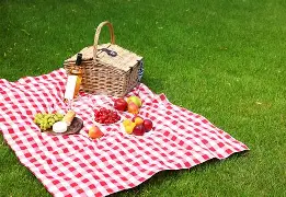  贾马尔穆雷和女朋友ins视频23秒 